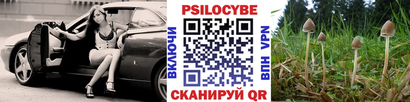Псилоцибиновые грибы Psilocybe  Купить  Рассказово 
