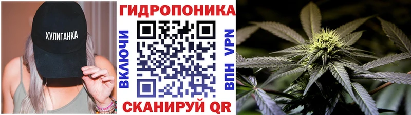 Бошки марихуана семена  Купить где  Рассказово 